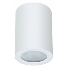 Накладной светильник Arte Lamp Tino A1468PL-1WH