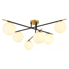 Потолочная люстра Arte Lamp Alcor A2224PL-6BK