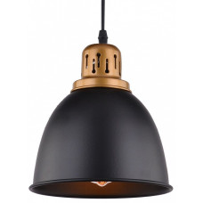 Подвесной светильник Arte Lamp Eurica A4245SP-1BK