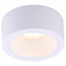 Накладной светильник Arte Lamp Effetto A5553PL-1WH