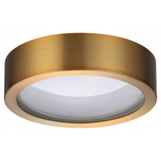 Накладной светильник Odeon Light Reus 4342/7CL