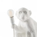 Лампа светодиодная Seletti Monkey Lamp E14 4Вт K R14880