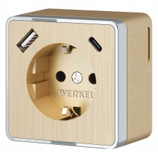 Розетка с заземлением и с шторками и USB Werkel Gallant шампань рифленый W5071710