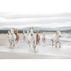 Komar 8-986 White Horses