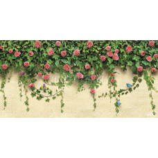 ОРТО fv 6664 Розы и бабочки на стене (2)