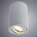 Потолочный светильник Arte Lamp Sentry A1560PL-1GY