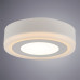 Светильник Arte Lamp Antares A7809PL-2WH