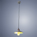 Светильник Arte Lamp Asti A8160SP-1GY