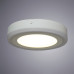 Светильник Arte Lamp Antares A7816PL-2WH
