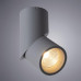 Светильник Arte Lamp Orione A7717PL-1GY