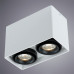 Потолочный светильник Arte Lamp Pictor A5655PL-2WH