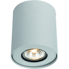 Потолочный светильник Arte Lamp Falcon A5633PL-1WH