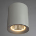 Потолочный светильник Arte Lamp Facile A5130PL-1WH