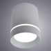 Потолочный светильник Arte Lamp Elle A1909PL-1GY