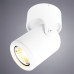 Светильник Arte Lamp Libra A3316PL-1WH