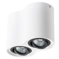 Потолочный светильник Arte Lamp Falcon A5644PL-2WH