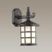 4042/1W NATURE ODL18 712 черный Уличный настенный светильник IP44 E27 60W 220V HOUSE